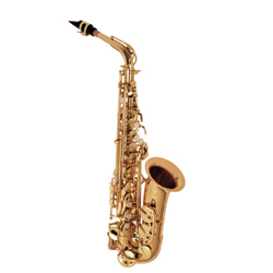 Alto Sax Selmer LaVoix SAS280R