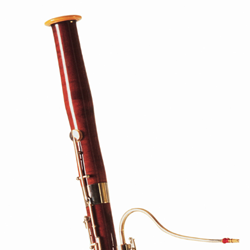 Bassoon Reeds