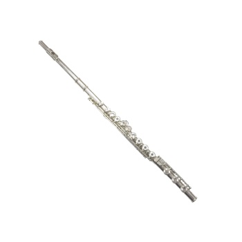 Dean Yang Topaz Step-Up Flute