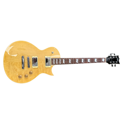ESP/LTD EC-256, Used